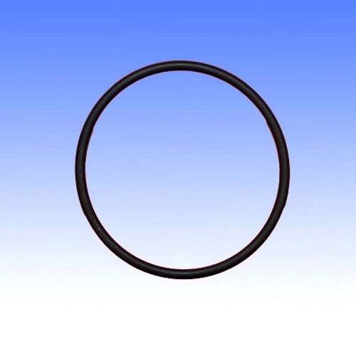 Valve gasket ring - valve, o-ring